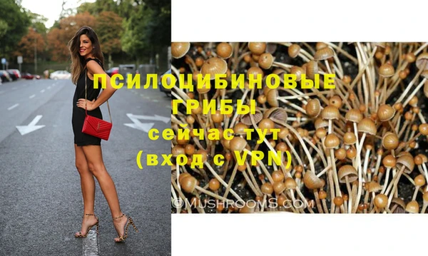 ПСИЛОЦИБИНОВЫЕ ГРИБЫ Беломорск