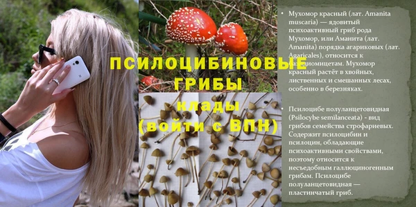 МДМА Бородино