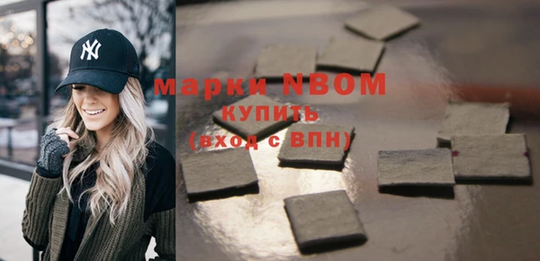 индика Бугульма