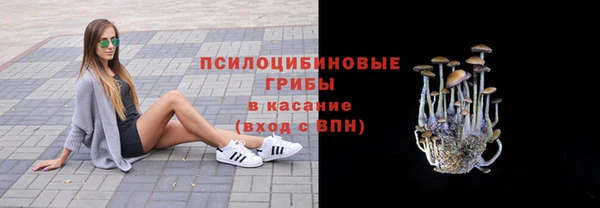 МДМА Бородино