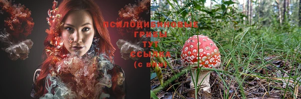 индика Бугульма